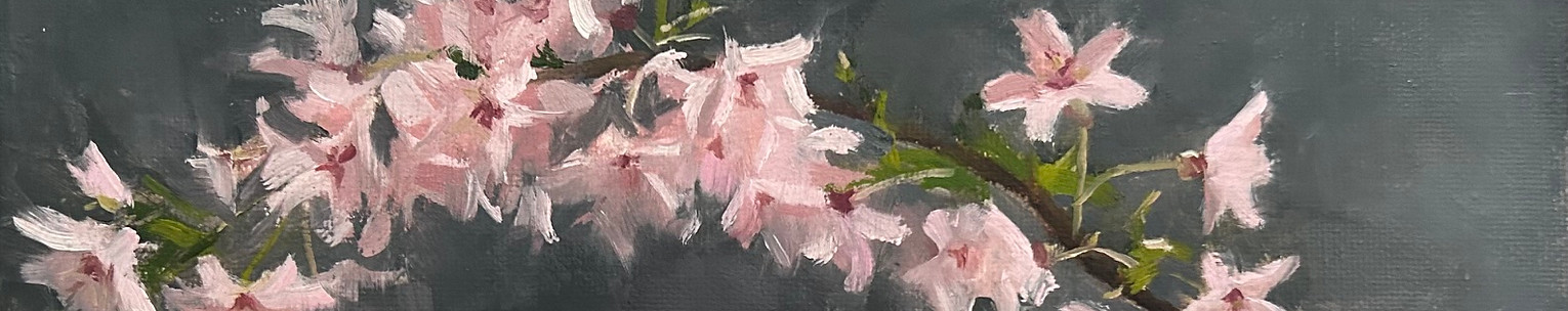 Spring Blossoms