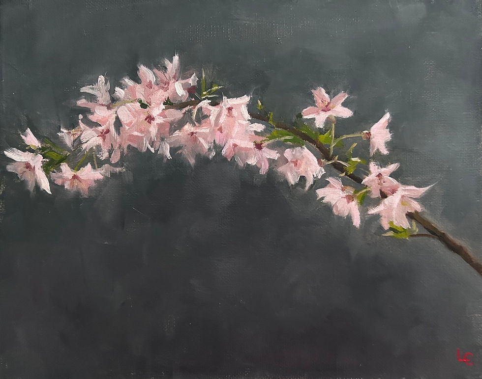 SPRING BLOSSOMS