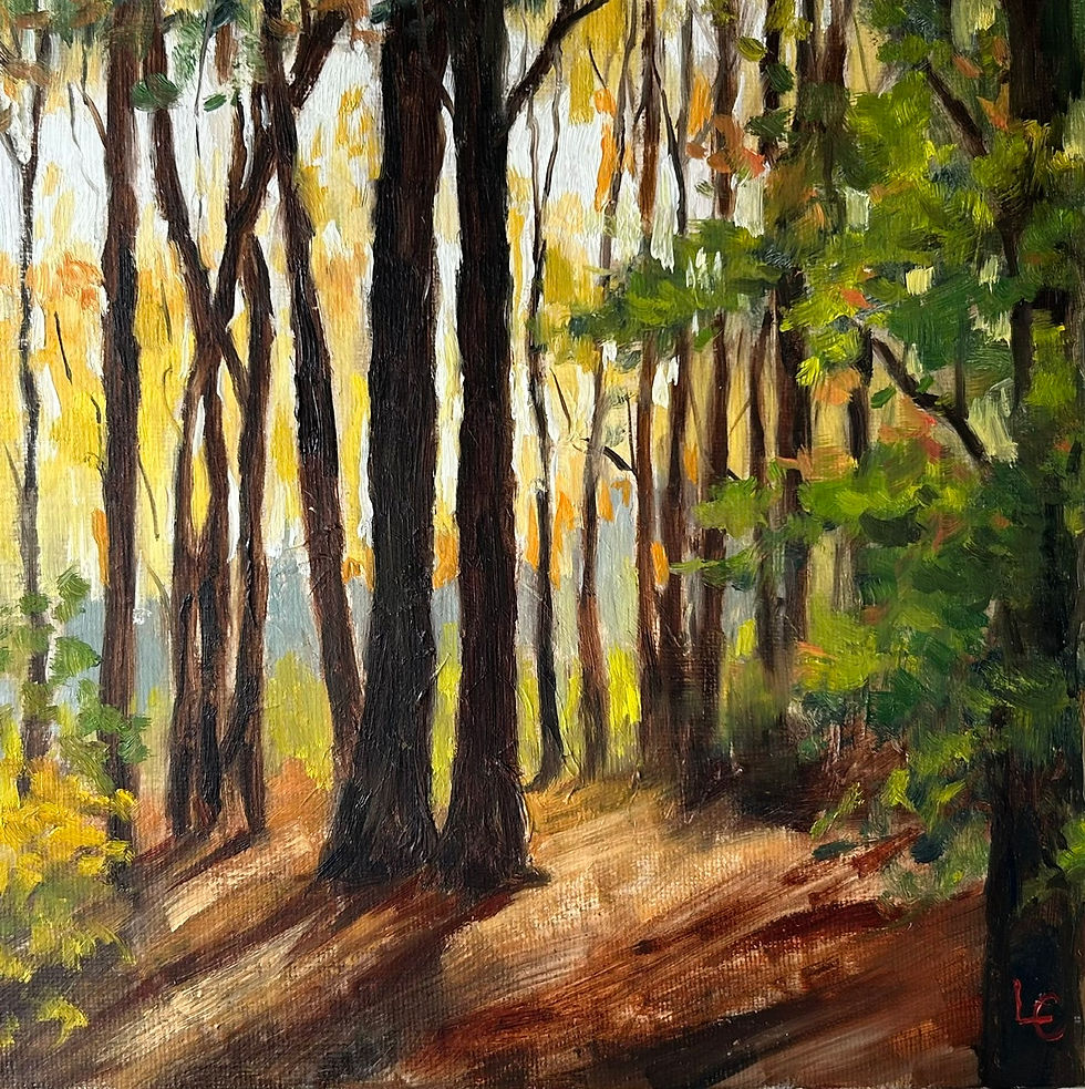 AUTUMN LIGHT