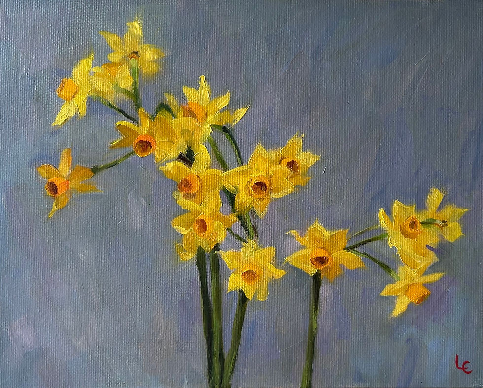 NARCISSI
