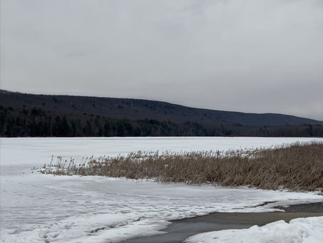 Carbon County Weekly Brief