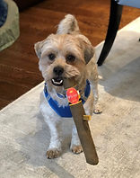 George burns-dog.jpeg