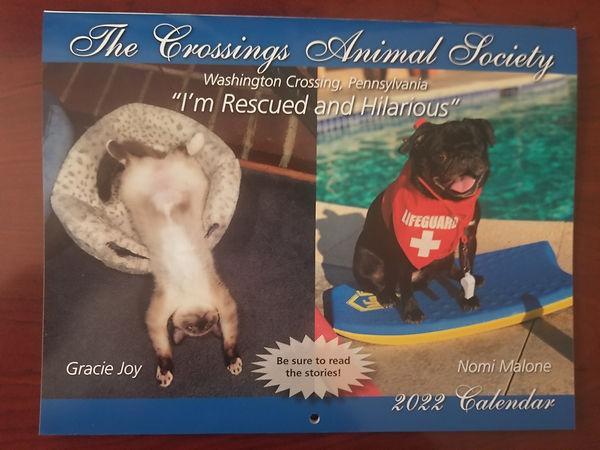 Calendar front cover - I'm Rescued and Hilarious.jpeg