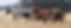 BANNER.jpg