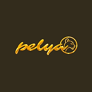 Nouveau logo officiel (21).png