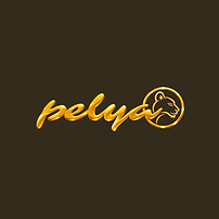 Nouveau logo officiel (21).png