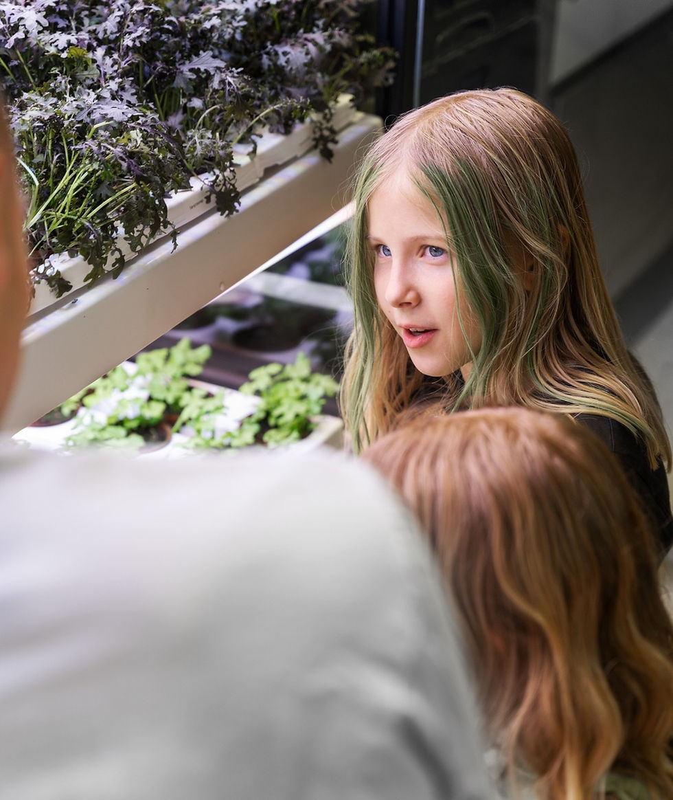 Skaparskolan i Huddinge gör hydroponisk odling till en del av undervisningen