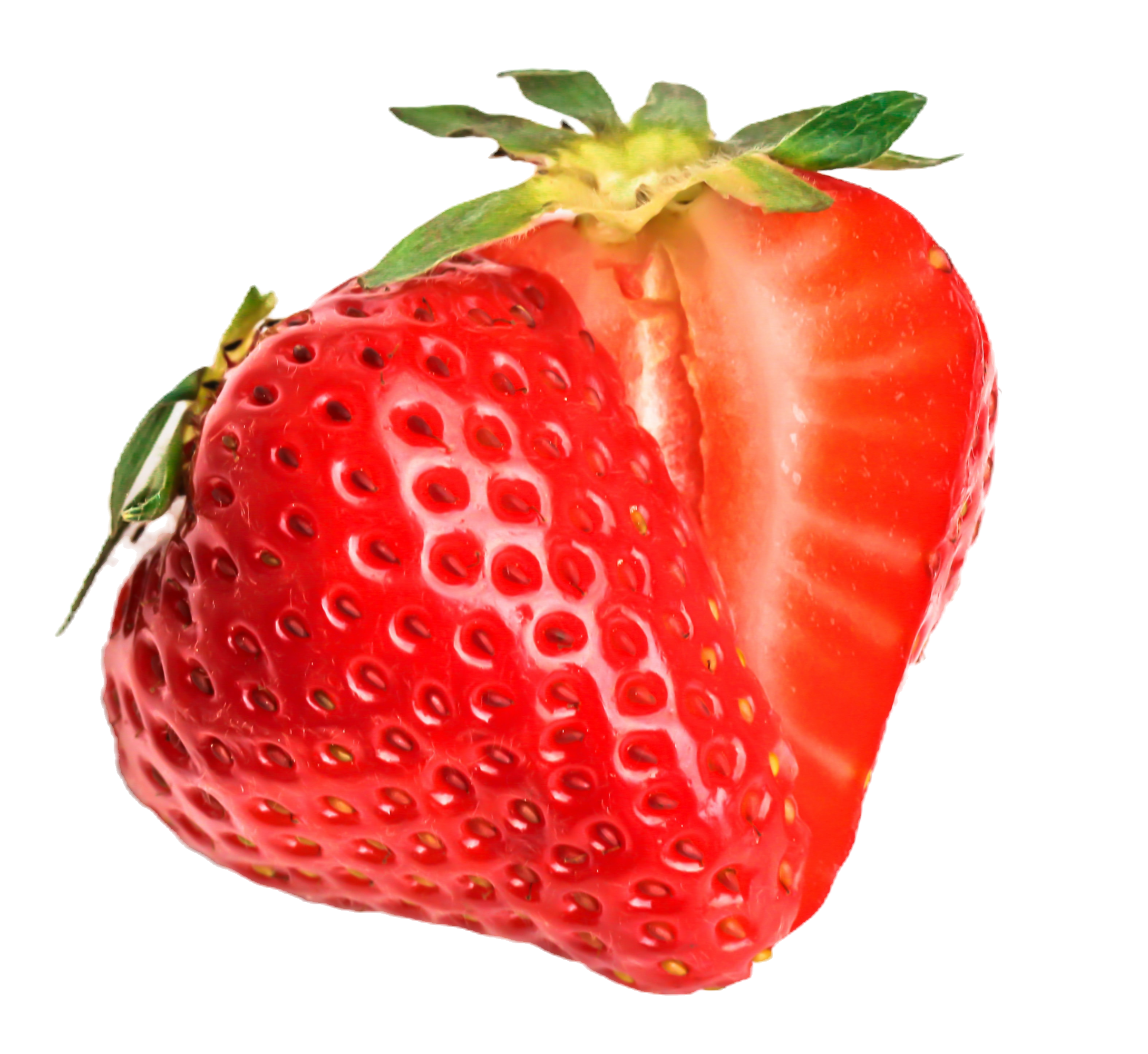 Image by Sabrina Wendl