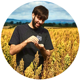 United Kingdom Quinoa Industry Expert