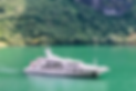 38f043ab-1f3f-4f6b-86a0-06496e73168e_edited_edited.png
