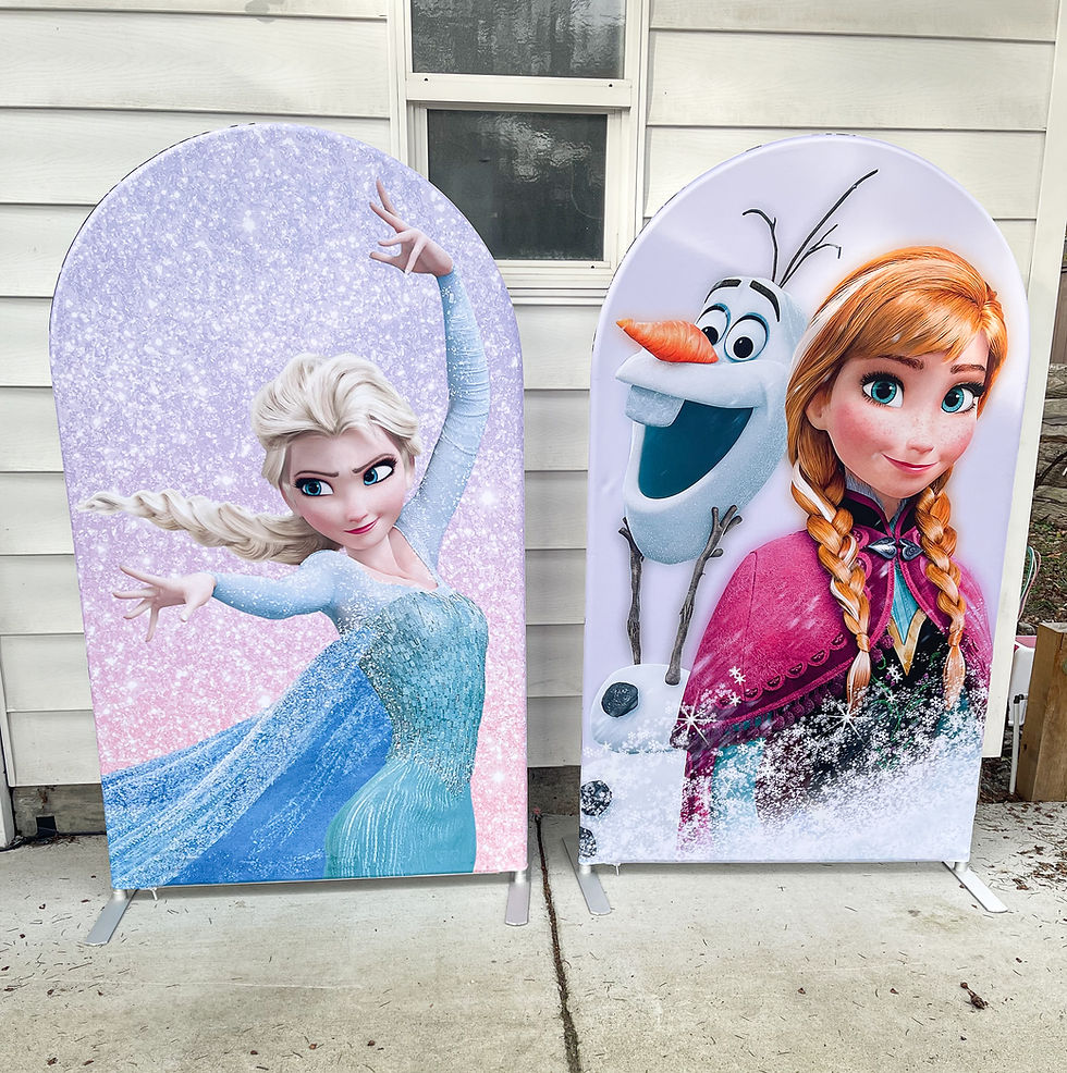 Duo Frozen Fabric Panels Rental