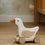Miniature : Canard à tirer en bois