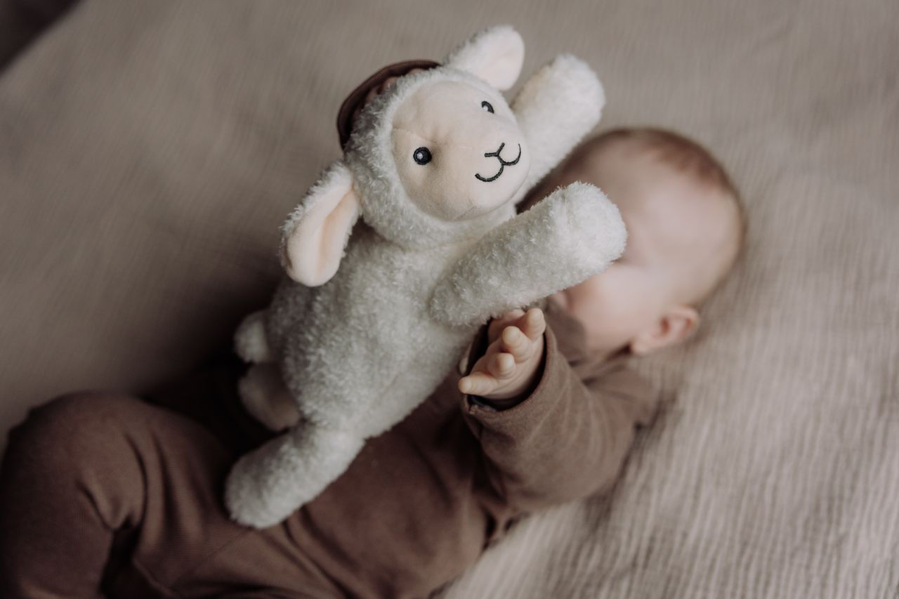 Peluche bruit blanc agneau Rosie