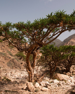 Marketing Made Modern Social Media Marketing Content Example (64).png