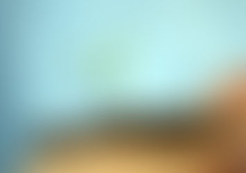 Desarrollo de Competencias hacia el Liderazgo Transformacional 