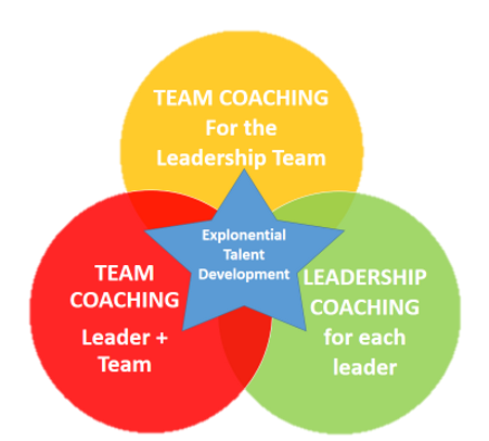 Leadership Coaching Program
