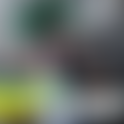 沙特財團成功收購紐卡素 英超再多一支土豪隊