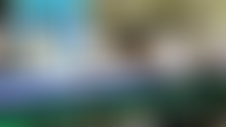 澳門立法會選舉有效票13.2萬張　白票3141張