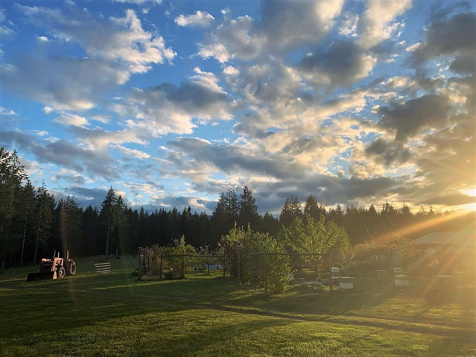 Sunset at Smith Lake Farm