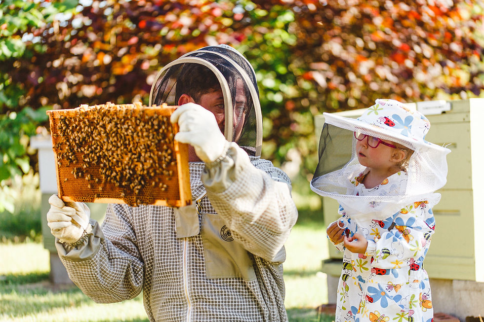 Sweet Encounters – Discover Beekeeping & Farm Life at Smith Lake Farm