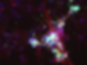 Neurons.png