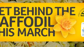 Great Daffodil Appeal
