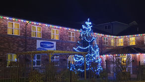 Belmont Christmas Decorations