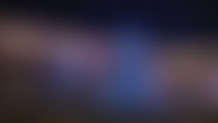 Belmont Christmas Decorations