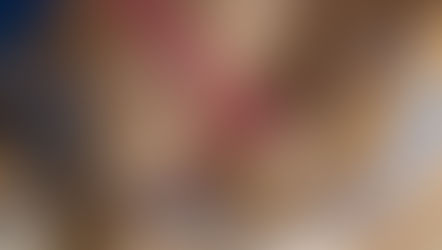 The lovely therapy dog "Red" for our fortnightly visit