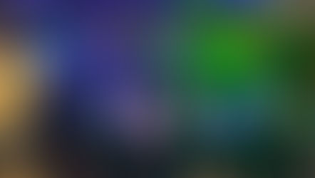 Long service awards and Staff Christmas Party