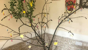 Occasion Tree