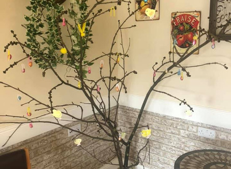Occasion Tree