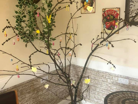 Occasion Tree