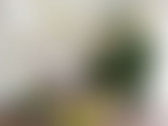 Easter Occassion Tree