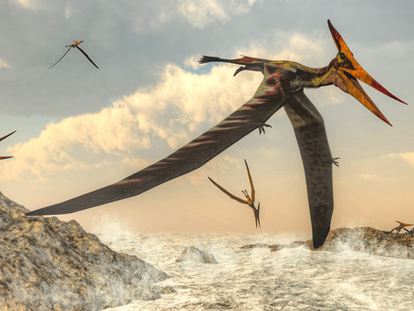 Why can’t you hear a pterodactyl going to the bathroom?