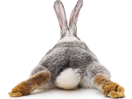 What do you call a rabbit with fleas?