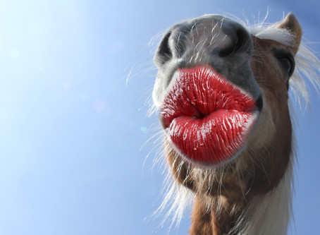 Why was the horse so happy?