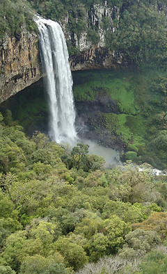 serra-gaucha-2182611_1920.jpg