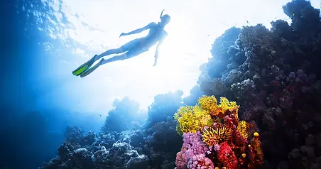 Snorkeling2.webp