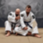 BJJ News
