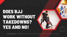 Does BJJ work without takedowns? Yes and No!
