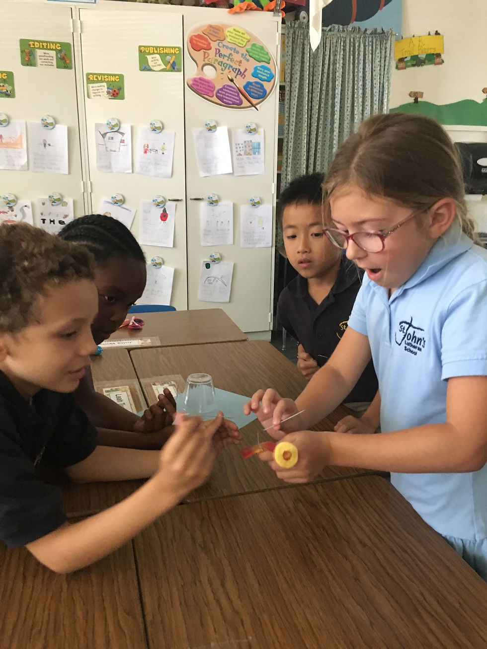 STEM...Saving Fred!