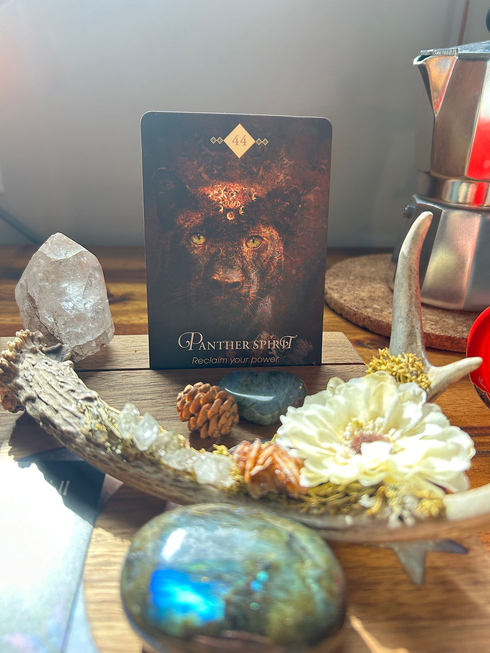 Panther Spirit oracle card on a wooden altar, surrounded by crystals, antler, and dried flowers — symbolizing strength, intuition, and reclaiming personal power.