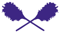 SnS LOGO dUSTER gRAPH eLEMENT.png