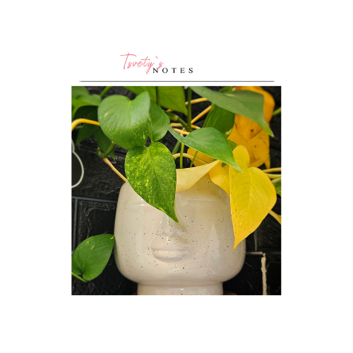 Как мислите влияят на живота ни | Mindset