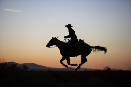 Authentic 110-mile fall cattle drive across Southern Utah, and the Arizona Strip with The Ranch at Wild Rose near Bryce Canyon, Zion National Park and Grand Canyon.