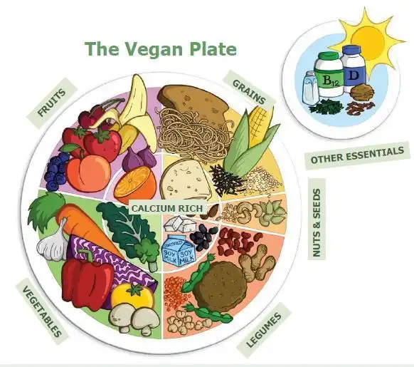 Alimentația echilibrată și sănătoasă în post și în dieta vegană content media