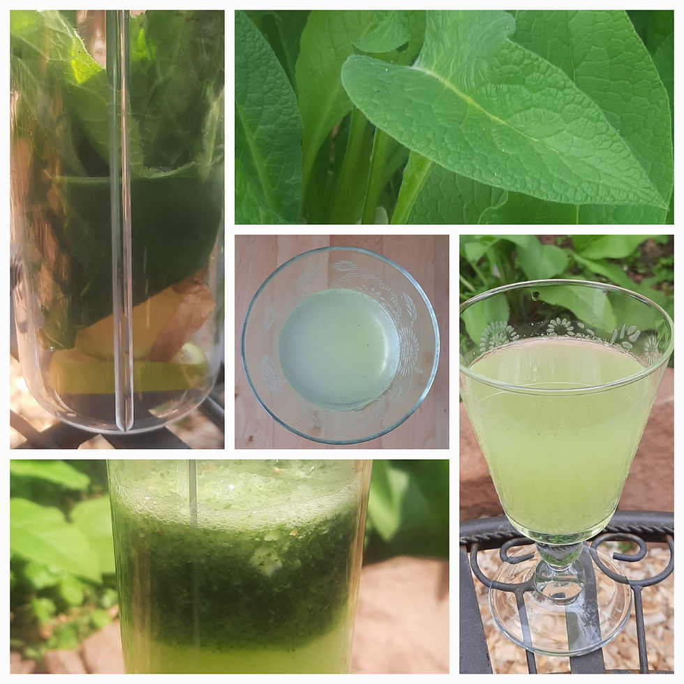 Gesundheitselixier "Grünes Wasser" mit Beinwell