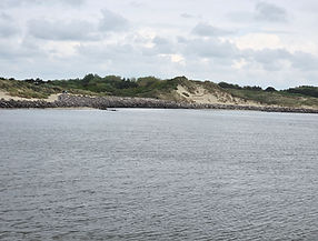 dag35.jpg