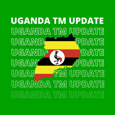 A legal expert from De Beer Attorneys assisting a client with a new Uganda trademark application after a missed deadline.